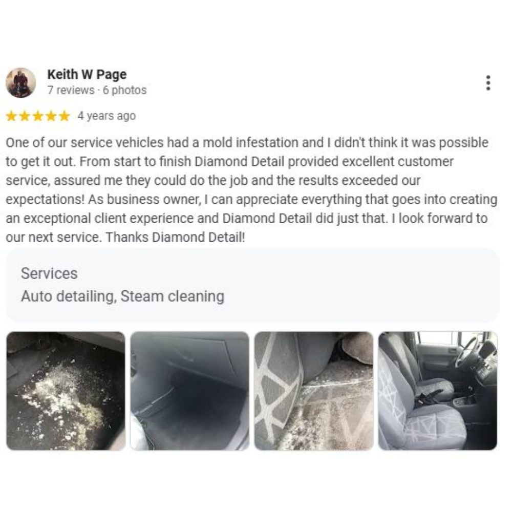 Keith Page's Mold Remediation Review for Diamond Detail